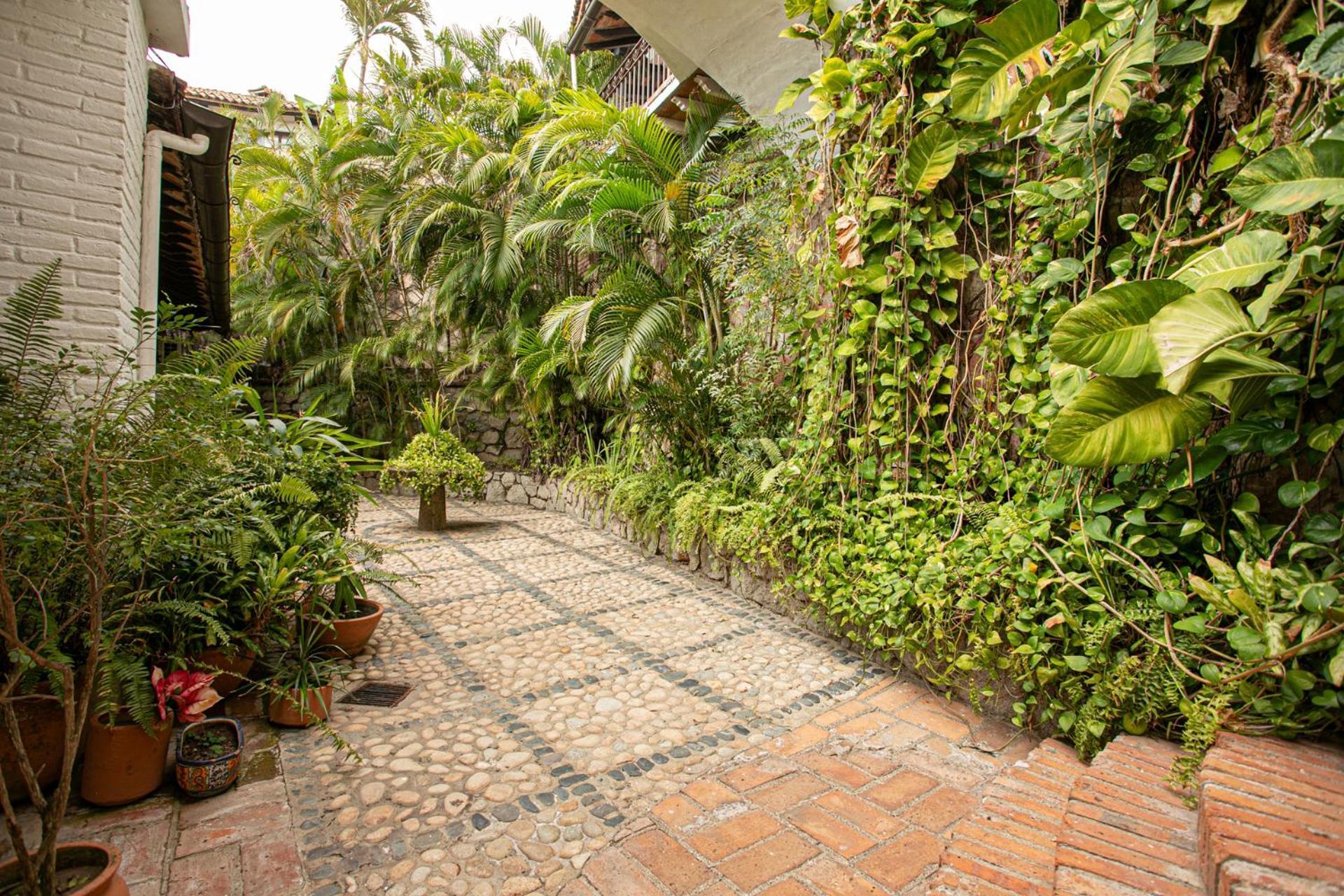 Villa Celeste プエルトバラータ エクステリア 写真