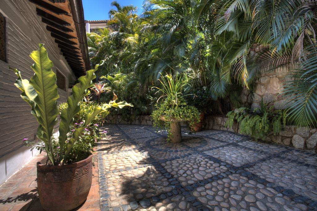 Villa Celeste プエルトバラータ エクステリア 写真